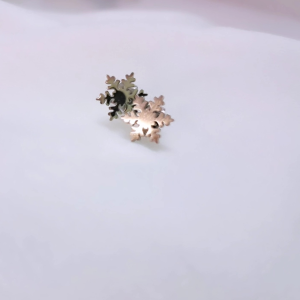 Σκουλαρίκια χιονονιφάδα